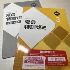 ★新品未使用★ワーク　中学3年　夏の特訓ゼミ　理科