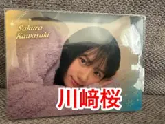 石崎様 リクエスト 3点 まとめ商品