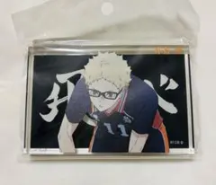 Item thumbnail for item 1bf50630-91ac-4ec4-8bf0-aae85d21b8e1