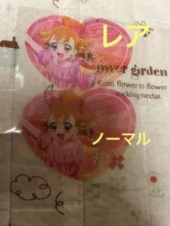 わんぷり プリティストア ハートクリアカード ブロマイド 犬飼こむぎ