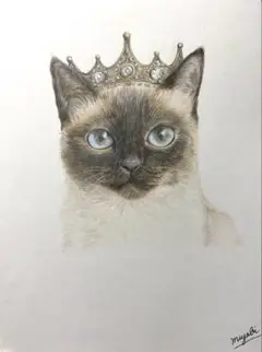 シャム猫クイーン　手描き　色鉛筆画