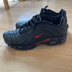 Nike Air Max ブラック/レッド スニーカー