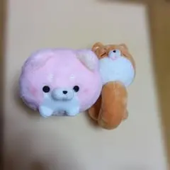 犬のぬいぐるみセット