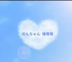 のんちゃん プロフィールご覧下さいませ様専用♡シマエナガ❆