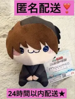 劇場版 忍たま乱太郎 土井先生 土井半助 　もちぴこ　ぬいぐるみ