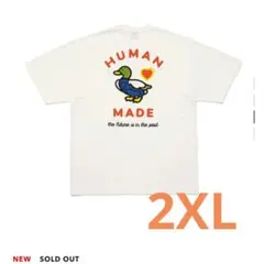 Item thumbnail for item 17779a7f-508b-49b7-8d99-b9e5e1d5da95