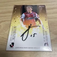 Item thumbnail for item 88cdd63a-c8c6-441f-944c-9d184fcdfd7e