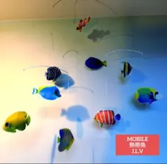 Item thumbnail for item 424c5376-57c3-482d-9193-e68bc00b7fd2