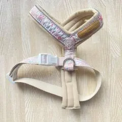 Item thumbnail for item dbad7484-08b1-4c96-af9d-40db257fc89f