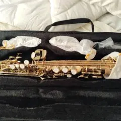 Item thumbnail for item 87704ea6-4af6-411b-8e72-24858636f248