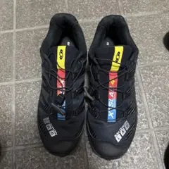 salomon xa pro 3d スニーカー
