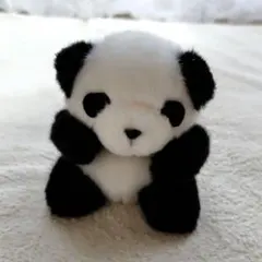 Item thumbnail for item aff15970-73ab-42dd-b103-839a3fd0057a