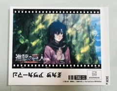 進撃の巨人 オリジナルラベル缶 ミカサ ステッカー
