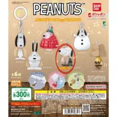 PEANUTS めじるしアクセサリー