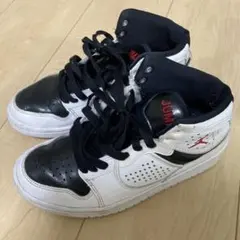 Item thumbnail for item 6f078930-4cae-47ce-a015-136f61c8ddee