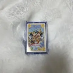 東京ディズニーランド トランプカードセット