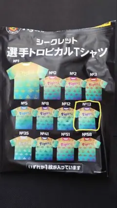 阪神タイガース シークレット トロピカルTシャツ 岩崎優