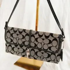 coach アクセサリーポーチ ワンショルダー シグネチャー クリップデミ