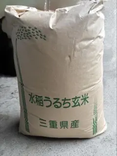 モモ様専用 令和7年新潟県産コシヒカリ 玄米 30kg 紙袋入り - メルカリ