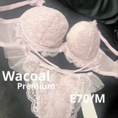 新品】Wacoal ✴︎プレミアム✴︎ ブラE70 ✴︎ ボーイレングス