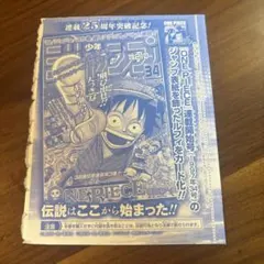 モンキー・D・ルフィ P-033 未開封 ジャンプ付録 ワンピ - メルカリ