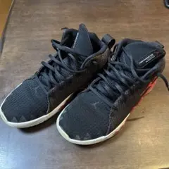 JORDAN バスケットシューズ 27センチ