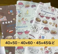 ★小学生向け　40×60 40×50など★ランチマット　新柄カレー男の子女の子