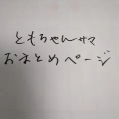ともちゃん様 リクエスト 3点 まとめ商品