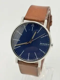 SKAGEN DENMARK メンズ 腕時計 クォーツ
