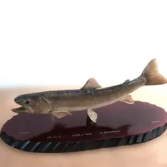2026年最新】イワナ剥製の人気アイテム - メルカリ