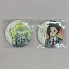 僕のヒーローアカデミア ヒロアカ エピローグビジュアル 缶バッジ 葉隠透 八百万