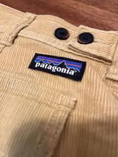 patagonia OrganicCottonCordUtilityShorts