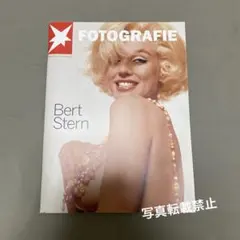 Bert Stern Fotografie Portfolio 49(洋書)