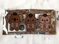 読売ジャイアンツ オータムチャンス くじ2024 ウッド風パペットバッジ