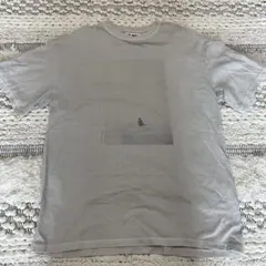 90s】リアルスケートボードREALskateboard ヘインズTシャツL - メルカリ