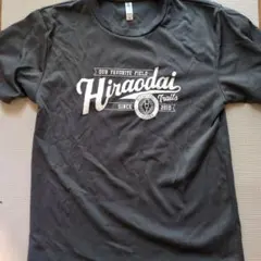 Item thumbnail for item de019ff9-5066-4326-a441-c61997d832df