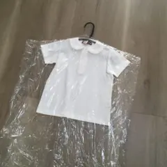 お受験丸襟ポロシャツアーニーアンドエッシー100幼稚園受験