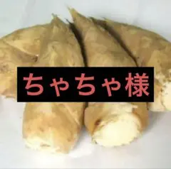 ちゃちゃ様　京都山城産　朝掘り筍3kg関東クール便
