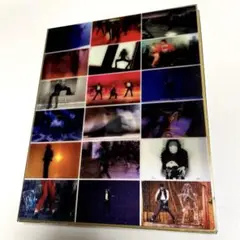 MICHAEL JACKSON'S VISION DVD 3枚組 輸入盤