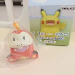 【新品】ホゲータ　ポケモン 1 2のポカン！ソフビマスコットBIG