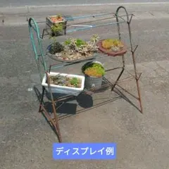 2025年最新】ジャンクガーデンの人気アイテム - メルカリ