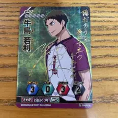 2025年最新】牛島若利の人気アイテム - メルカリ