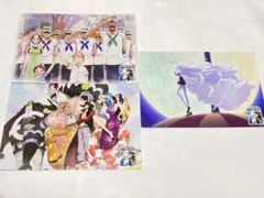 ONE PIECE 麦わらストア ポストカード 海軍 王下七武海 キャロット