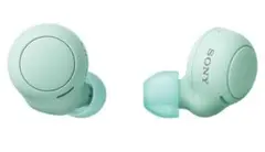 SONY WF-C500 ワイヤレスイヤホン　イヤホンのみ