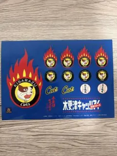 広島カープ 