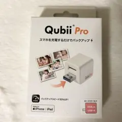 バックアップ用 USB Qubii Pro 256GB