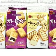 【ブルボン】ガトーレーズン・ブランチュール《計4袋》