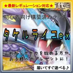 《コンセプト》構築済みデッキH503 タケルライコex（ライコポン）
