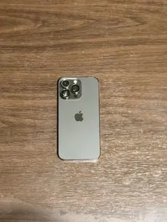 Apple iPhone 13 Pro Max 258GB ジャンク品 - メルカリ