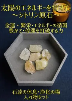 金龍様と白蛇様 大金運 龍神 座敷わらし 高額当選 霊石 億万長者 SSSランク